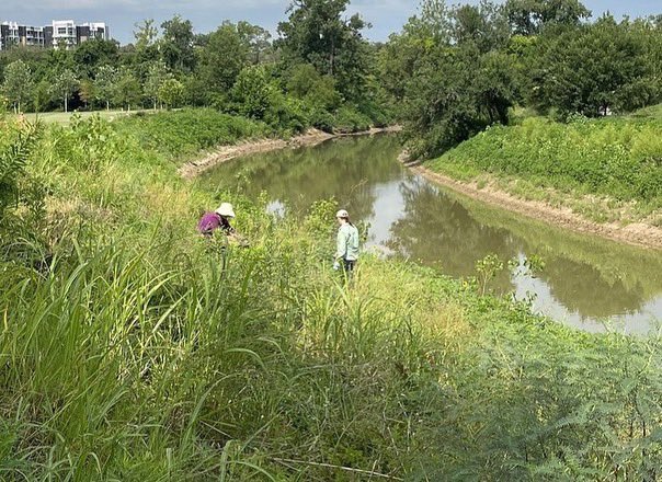 HouToolBank's tweet photo. We love seeing our #BlueTools in action! Check out these volunteers hard at work at Buffalo Bayou during #MakeADifference week! #HoustonToolBank https://t.co/1CpWhfeOne