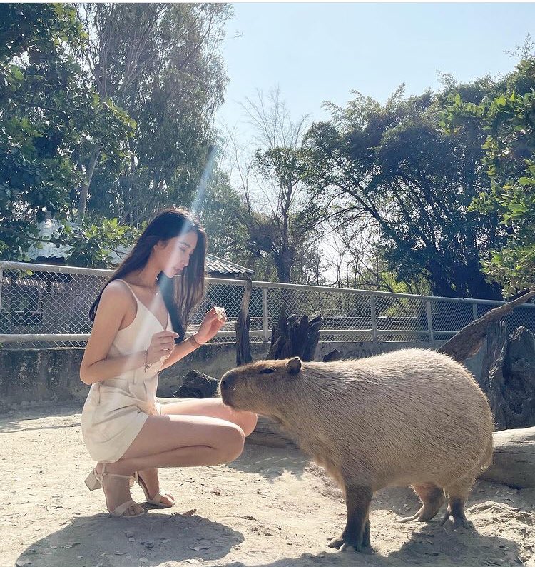 prakritidhawan1's tweet image. 你猜这动物想干嘛