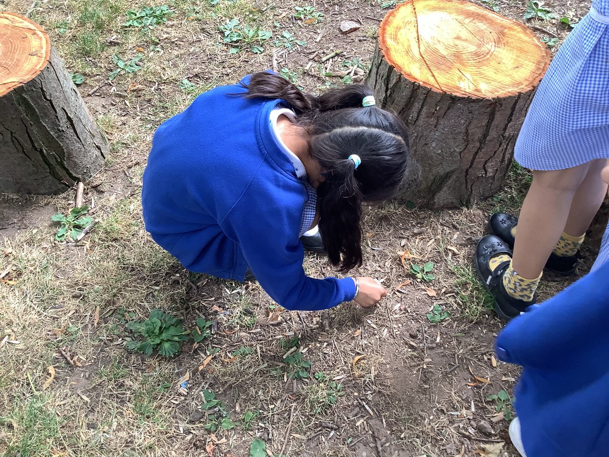 gfprimarycov's tweet photo. 2L really enjoyed their minibeast hunt this afternoon. 🐝🐞#GFY2 #GFScience #somuchfun https://t.co/wpRJ1FgbCl