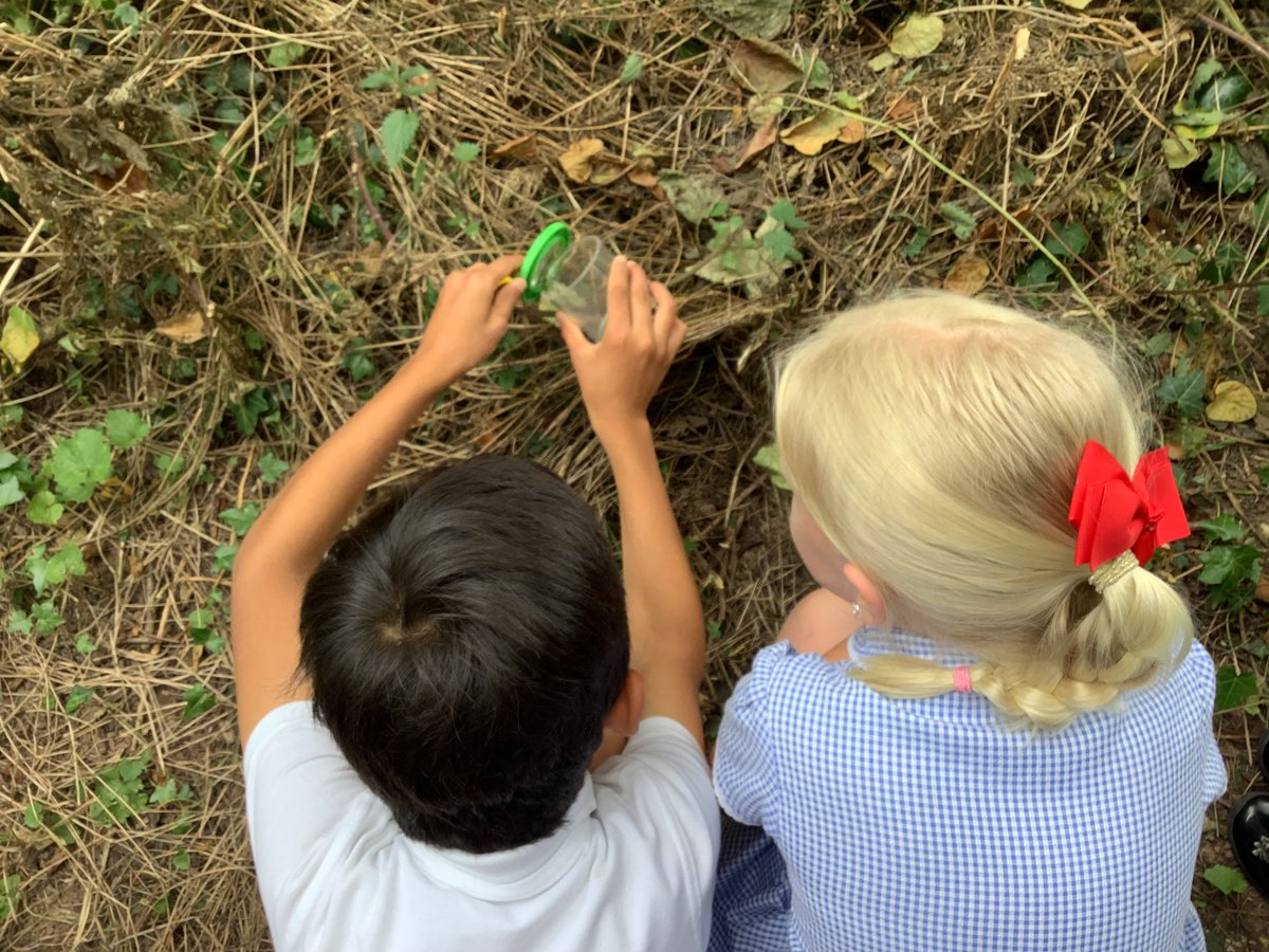 gfprimarycov's tweet photo. 2L really enjoyed their minibeast hunt this afternoon. 🐝🐞#GFY2 #GFScience #somuchfun https://t.co/wpRJ1FgbCl