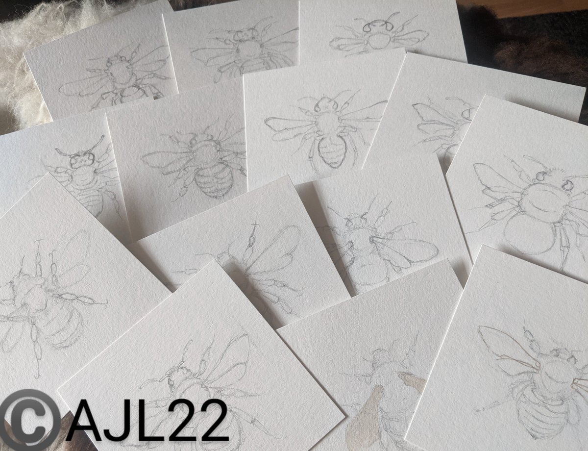 AngeJLee's tweet photo. This week I'll be mostly painting, Mining, Carders, Flower bees, Bumbles, & Cuckoo Bumbles....the final 14 of the commission, the finishing line is within sight! #art #WaterColour #bees #BeesUK #StudioFortyAngeJLee https://t.co/YQRnurAb5F