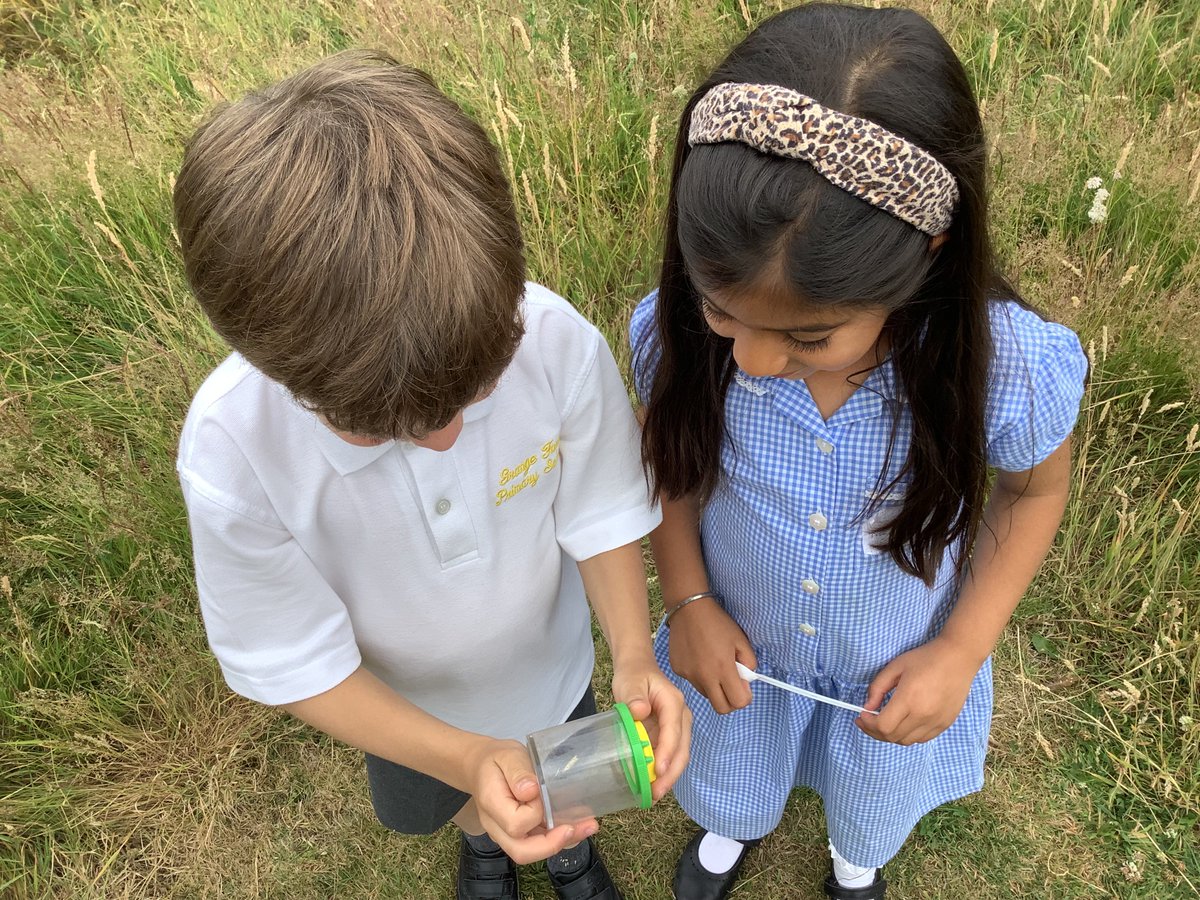 gfprimarycov's tweet photo. 2L really enjoyed their minibeast hunt this afternoon. 🐝🐞#GFY2 #GFScience #somuchfun https://t.co/wpRJ1FgbCl