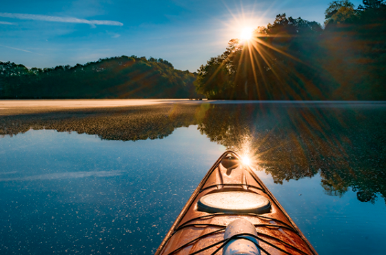 Interested in knowing the latest with The Kentucky Wildlands? Check out our newsletter.

#explorekywildlands

mailchi.mp/c16eba1f1388/t…