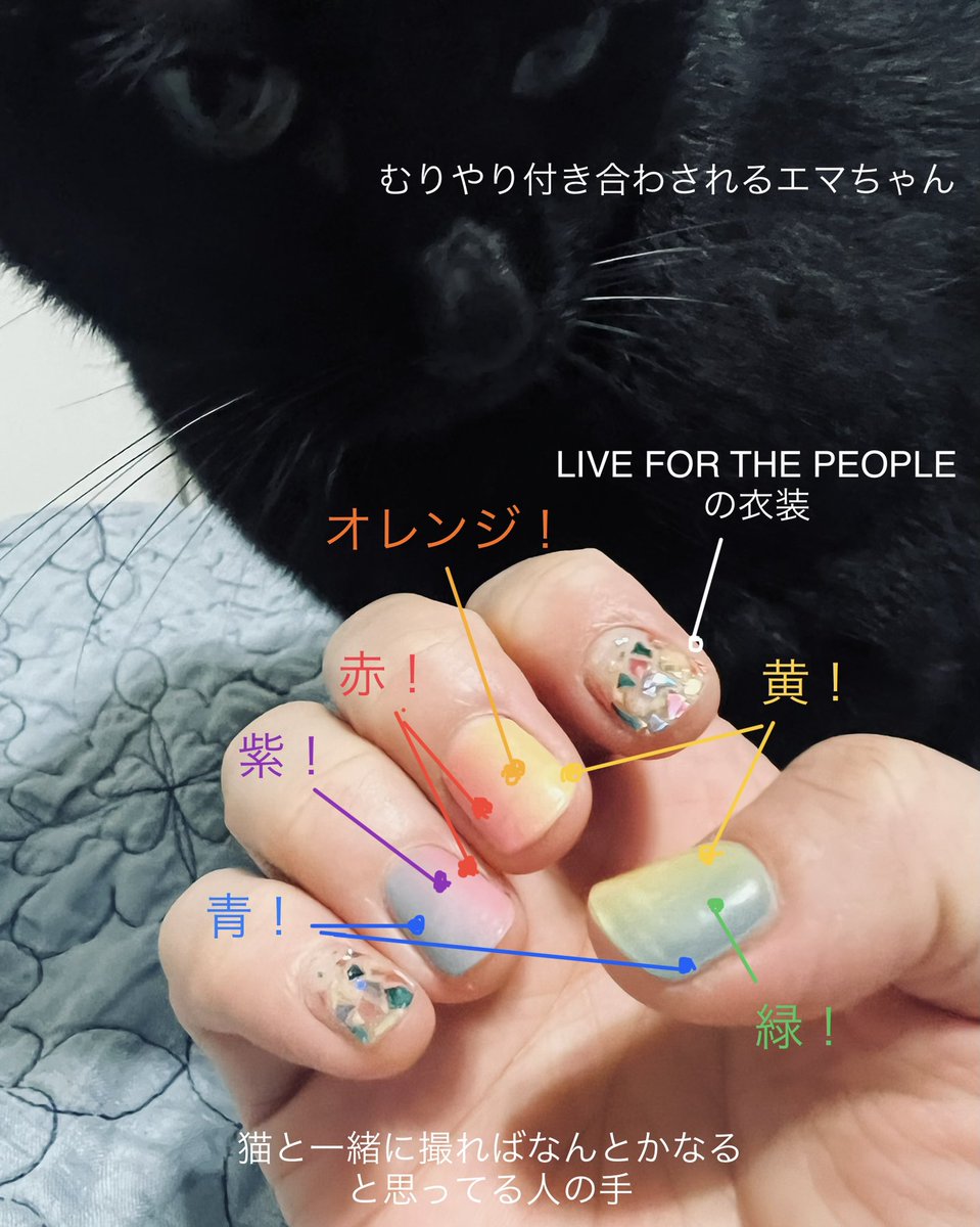 uschoema's tweet photo. わたし魔女のキキ!こっちは黒猫のジジと LIVE FOR THE PEOPLE ネイル!!
#V6 #LIVEFORTHEPEOPLE #V626 https://t.co/TaDtqD46dP