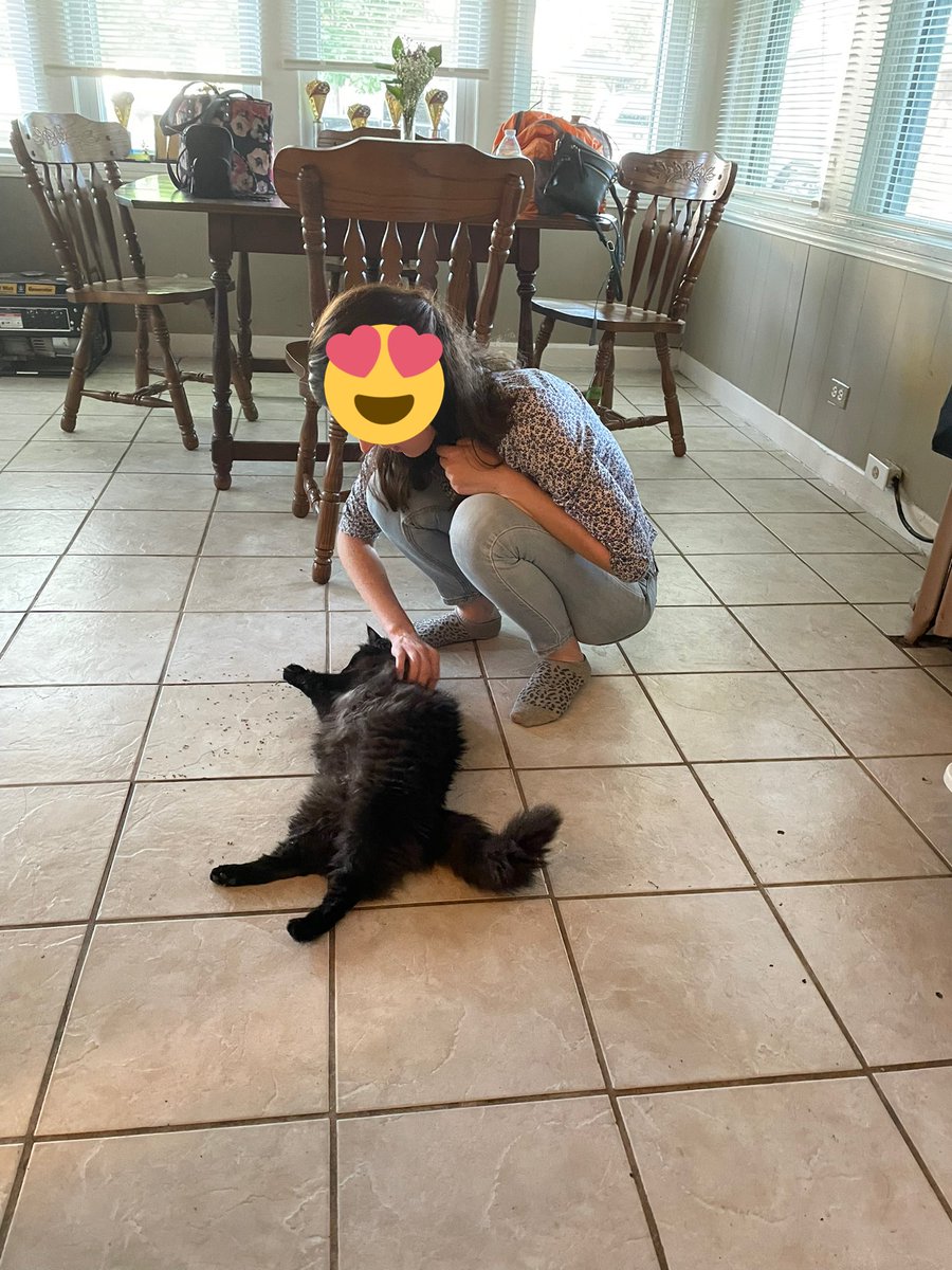 ♥️Carolyn & Family #StandWithUkraine🌻♥️🌻 tweet media