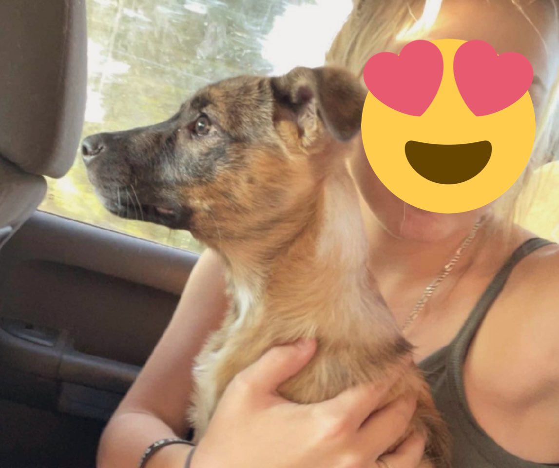 ♥️Carolyn & Family #StandWithUkraine🌻♥️🌻 tweet media