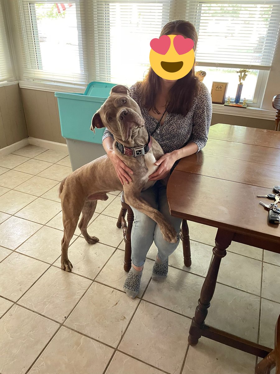 ♥️Carolyn & Family #StandWithUkraine🌻♥️🌻 tweet media