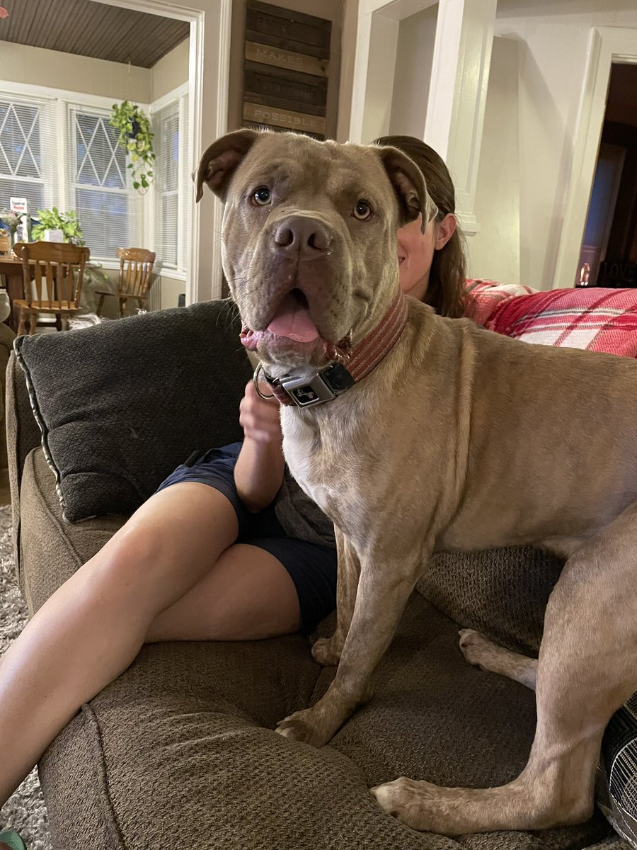 ♥️Carolyn & Family #StandWithUkraine🌻♥️🌻 tweet media