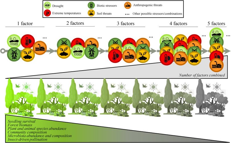 Journal of Plant Physiology tweet media