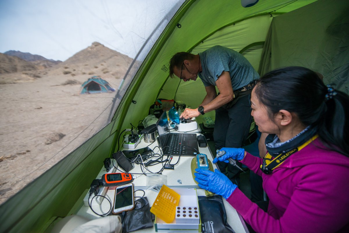 GGE2022's tweet photo. A genomics lab with a view ! @mdelledon is working on bat samples with our Mongolian colleague Muggi, out of a tent, using @MiniOneSystem gear and @nanopore sequencing tech
@UNI_FIRENZE @UniVerona @unito @ISPRA_Press @izsler @StoriaNaturale @GmtOutdoor @CopanGroup @NikonEurope https://t.co/Ji8E7pFzJw