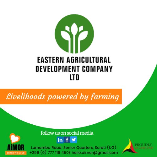 EADC_Uganda's tweet photo. Always take a moment to remind yourself of who you are and what you are meant to be.  
EADC - Is who we are
"Livelihoods empowered by farming" - is what we are meant to be.
#femaleinnovation
#smallholderfarmers
#easternuganda
#soroticity https://t.co/QMTPjBIvez