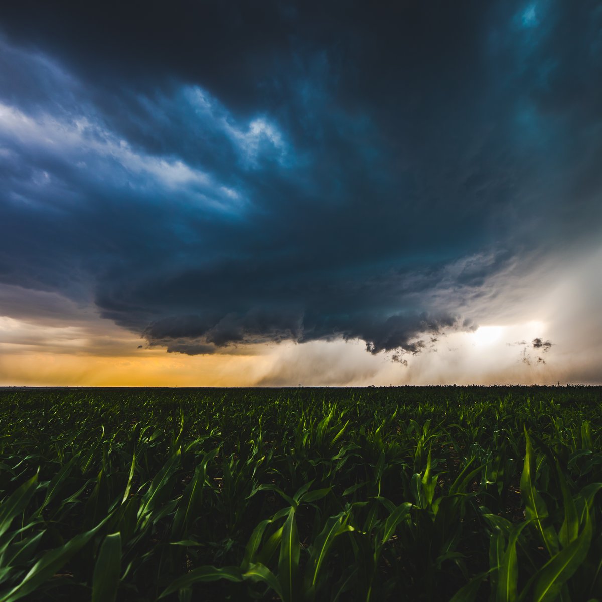 EvilBill_wx's tweet photo. Supercell https://t.co/omyVhAUfAG