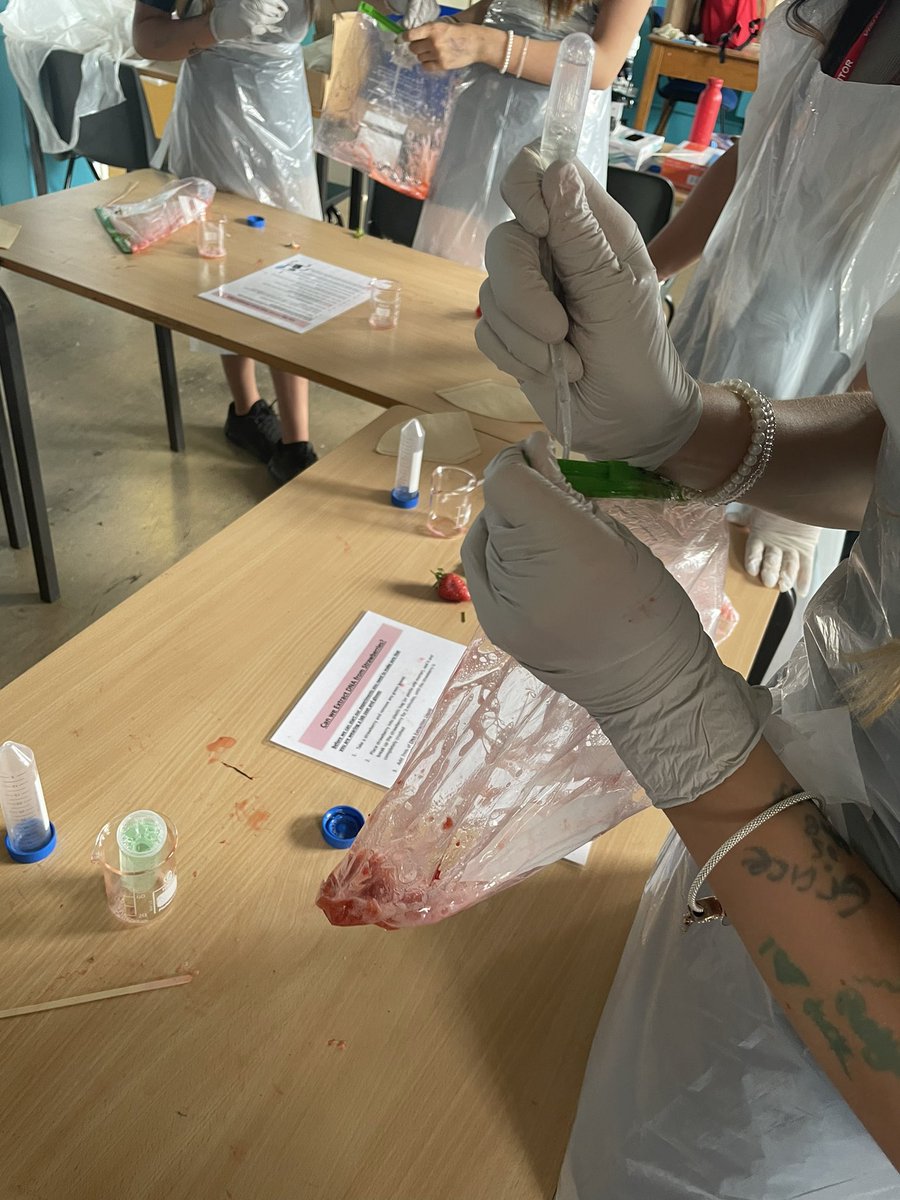 Springwest Academy CEIAG tweet media