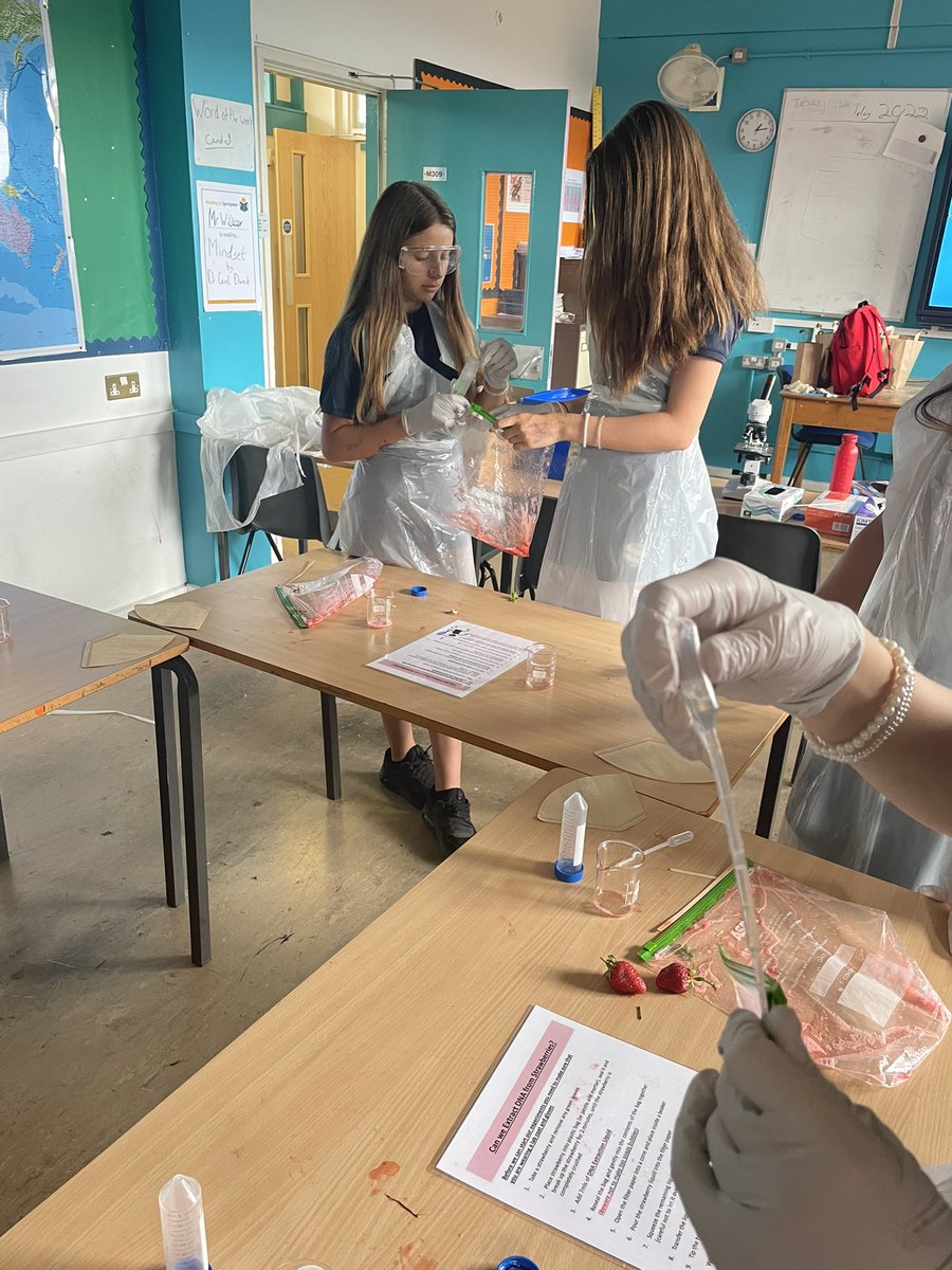 Springwest Academy CEIAG tweet media