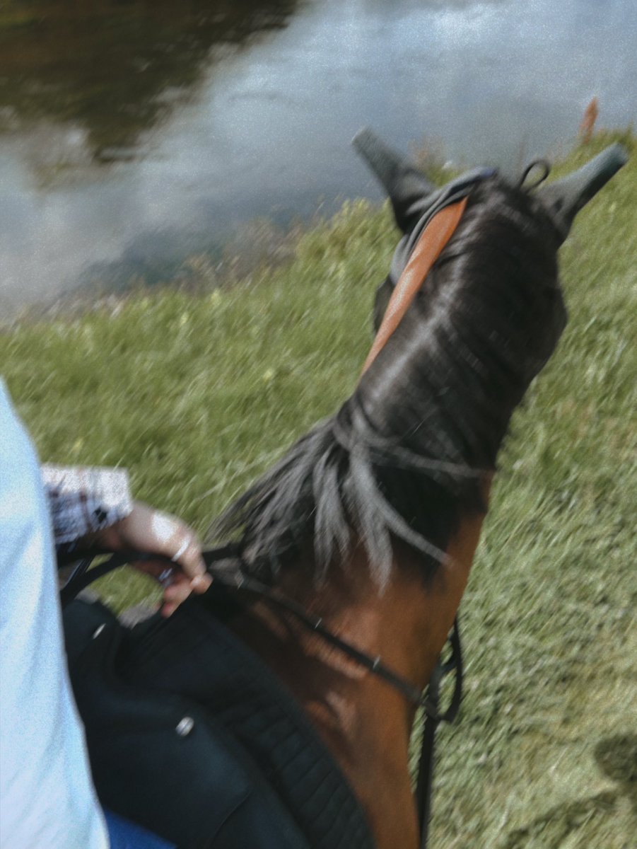 Lima_arty's tweet image. Summer walks be like 🏇🏻🤍

#GoodVibesOnly #NFTCommunity #NFTfamily