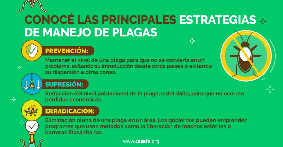CasafeOk's tweet photo. Un uso indiscriminado e innecesario de productos fitosanitarios puede agravar el problema de las adversidades. Entonces, ¿cómo podemos manejar las plagas? 
Conocé más en ➡️ https://t.co/zJLIKoK3aP https://t.co/VwsBBhGgr0