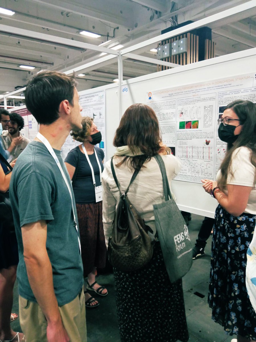Survived #postersession today at @FENSorg @NeuroAlc Thanks to all of you that came by to listen to our work, very happy with the outcome of the session #FENS2022 #MyFENS2022
