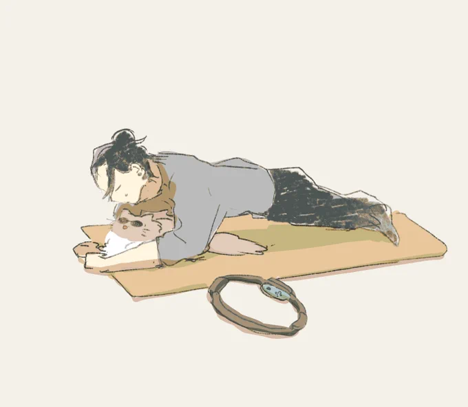 🆚🐈 