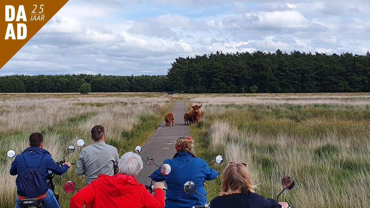 Zaterdag hebben we, als collega’s met partners, gevierd dat wij 25 jaar bestaan. We zijn Drenthe in getrokken om op E-choppers en met oude Dafjes de omgeving en elkaar beter te leren kennen. We sloten de dag feestelijk af met een BBQ en namen afscheid van Froukje Paas-Schaap.