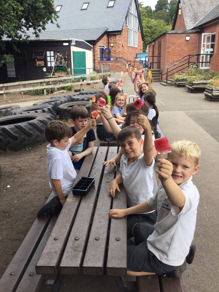 WhitegateElm tweet media