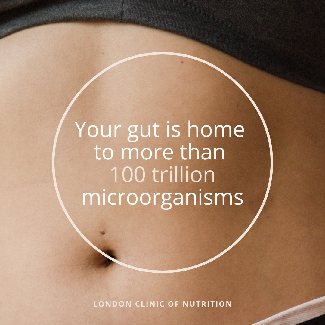 Our gut microbiome is responsible for things like detoxing, creating vitamins, digesting foods and regulating the immune system. They even help synthesise your happy hormone – serotonin.

Get in touch to learn how our practitioners can support your gut microbiome with #nutrition