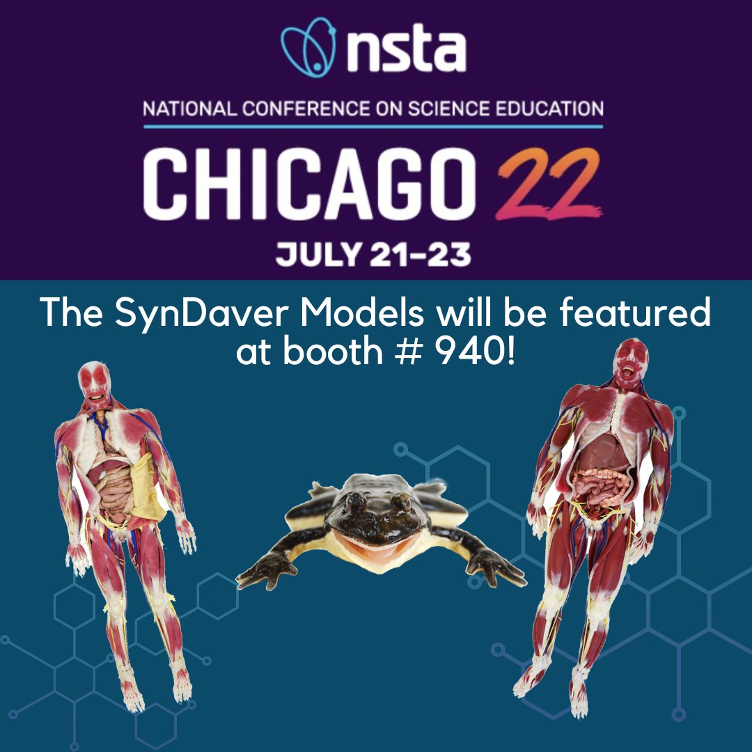 syndaver's tweet photo. SynDaver will be attending the @NSTA Conference in Chicago July 21st – 23rd. Come visit us at booth # 940 and check out the awesome models we’re bringing!
#SynDaver #NSTA22 #STEM #k12 #anatomy #biology #teachers #conference #synfrog https://t.co/mwLnWG7EG3