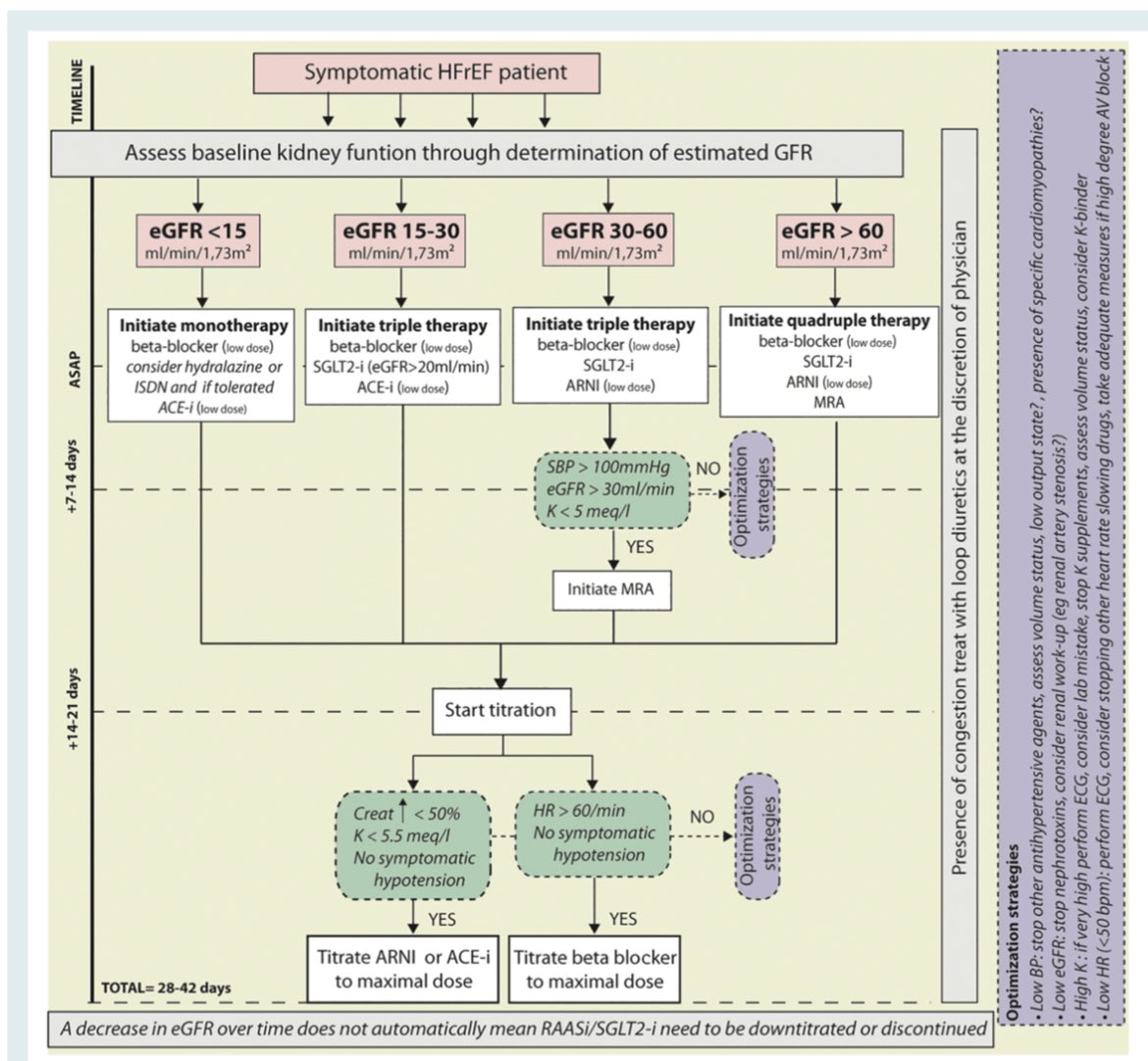 vikouerMD's tweet photo. Buen artículo y algoritmo del inicio y monitoreo del manejo de pacientes con HFrEF y los efectos renales. doi: 10.1002/ejhf.2471 https://t.co/rp1YHYxfZl