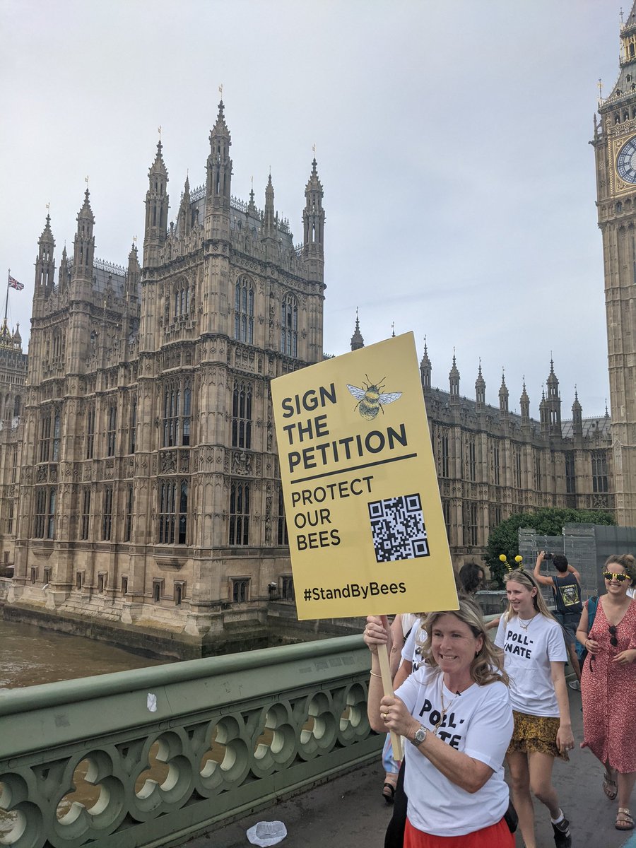 SheasyDaisy's tweet photo. 🐝So thrilled I was able to get along to Parliament Square with the @NYR_Official family to help launch the #StandByBees campaign and petition. Get all the info on this vital work here https://t.co/Mg4hRH2vIa and please sign the petition 🐝 https://t.co/mCvkWmvBfD