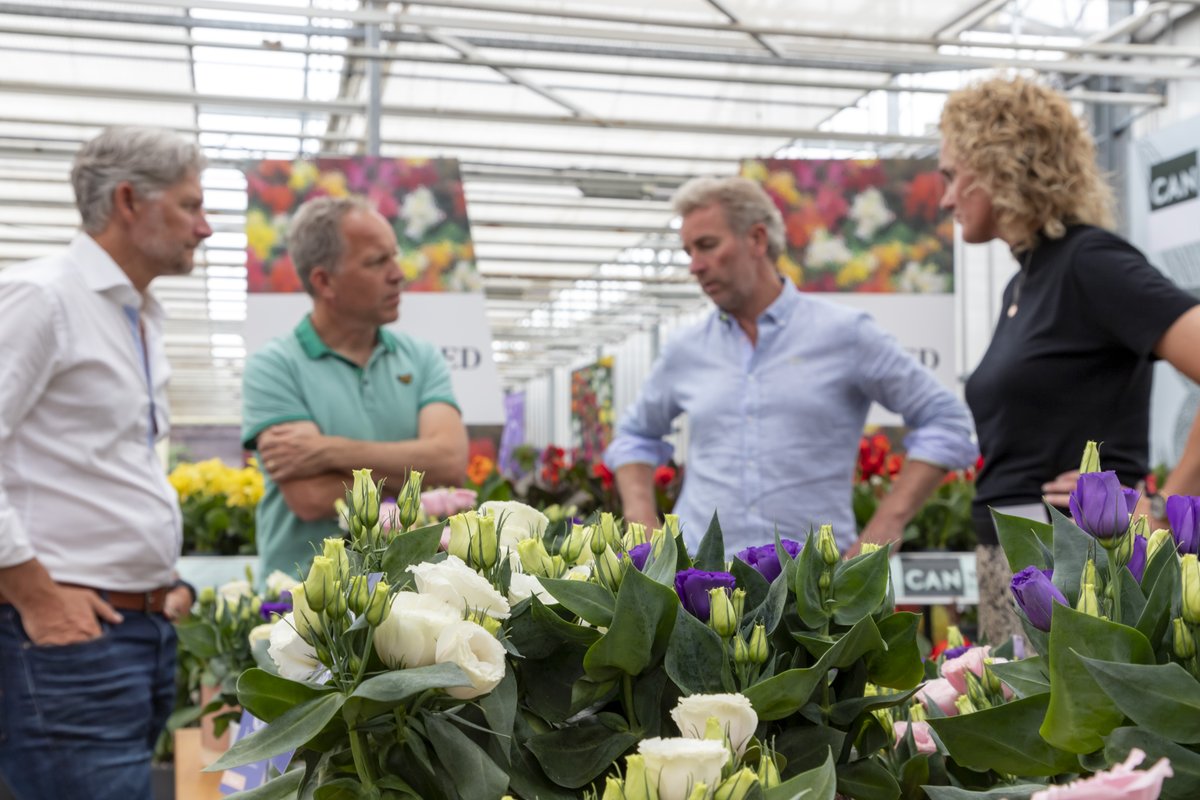 Only 11 more months until the next #FlowerTrials. 🙃 Until then pictures (and videos soon...) will have to do. 
#whereplantsmeetpeople #potplants #beddingplants #newbreeding