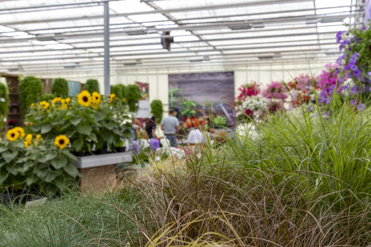 FlowerTrials tweet media