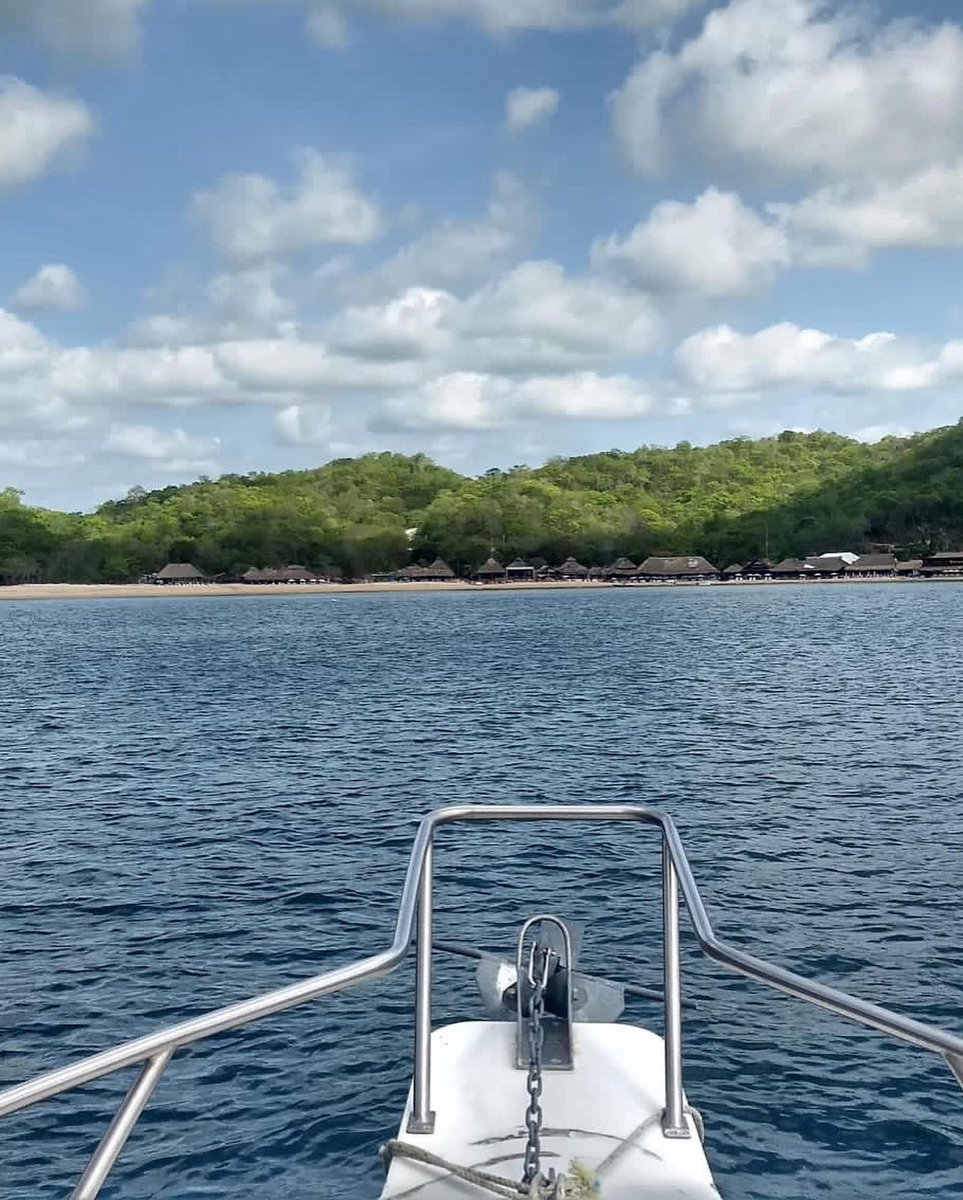 Hdc Twitter Search Twitter