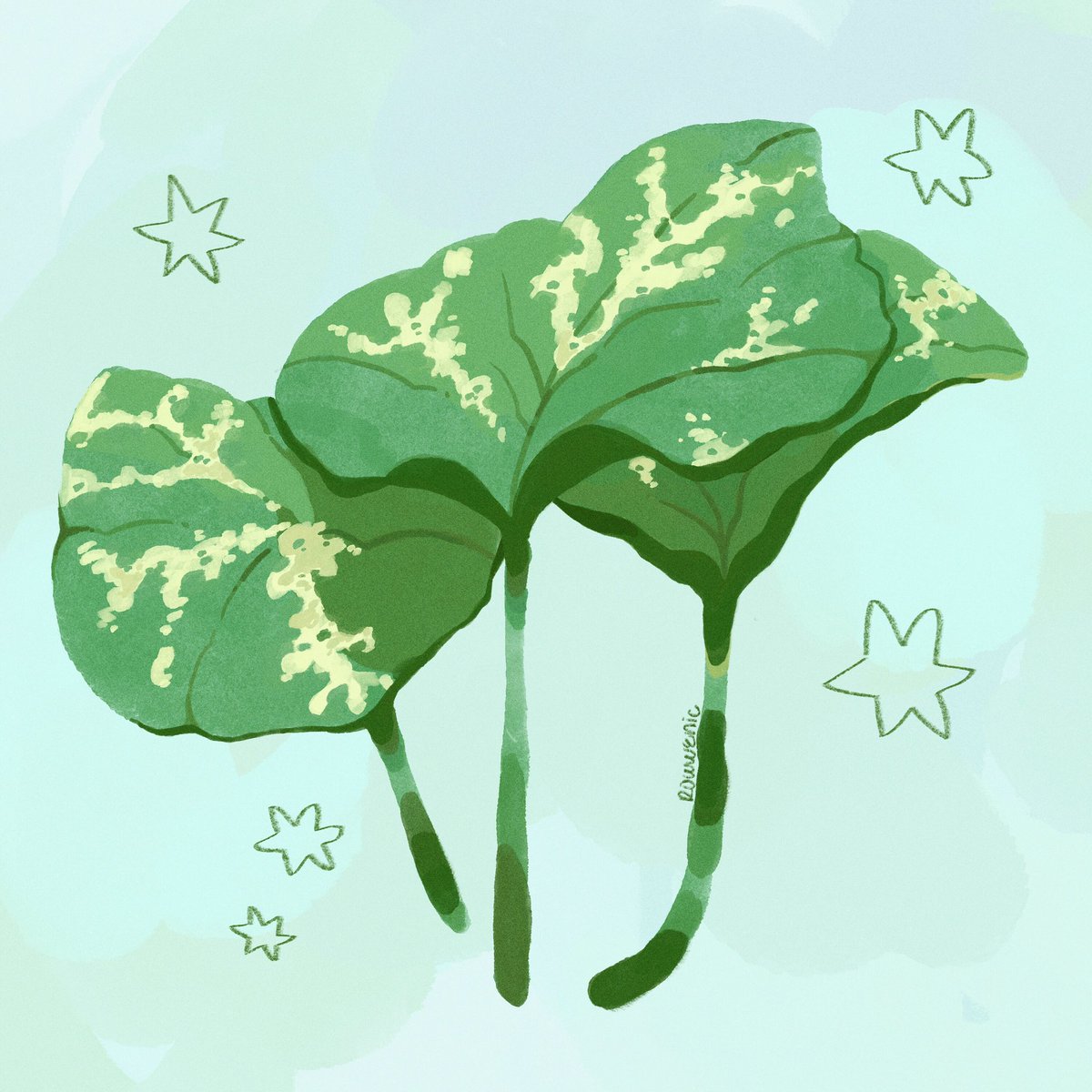 rowwenic's tweet photo. hello #portfolioday :) I’m Nic and I’m and illustrator from Panama! I draw anything that catches my eye and work digitally and traditionally!
🔆 https://t.co/XJHTfUlfy7
🖍 naxml@hotmail.com
🚎 https://t.co/h9gwG6b1a2 https://t.co/GkgH1mfbVD