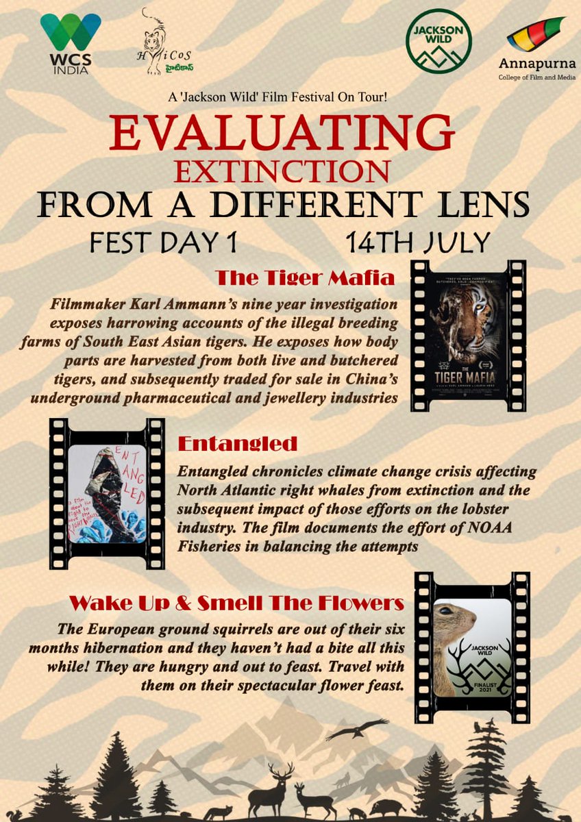 Hyderabad Tiger Conservation Society (HyTiCoS) tweet media