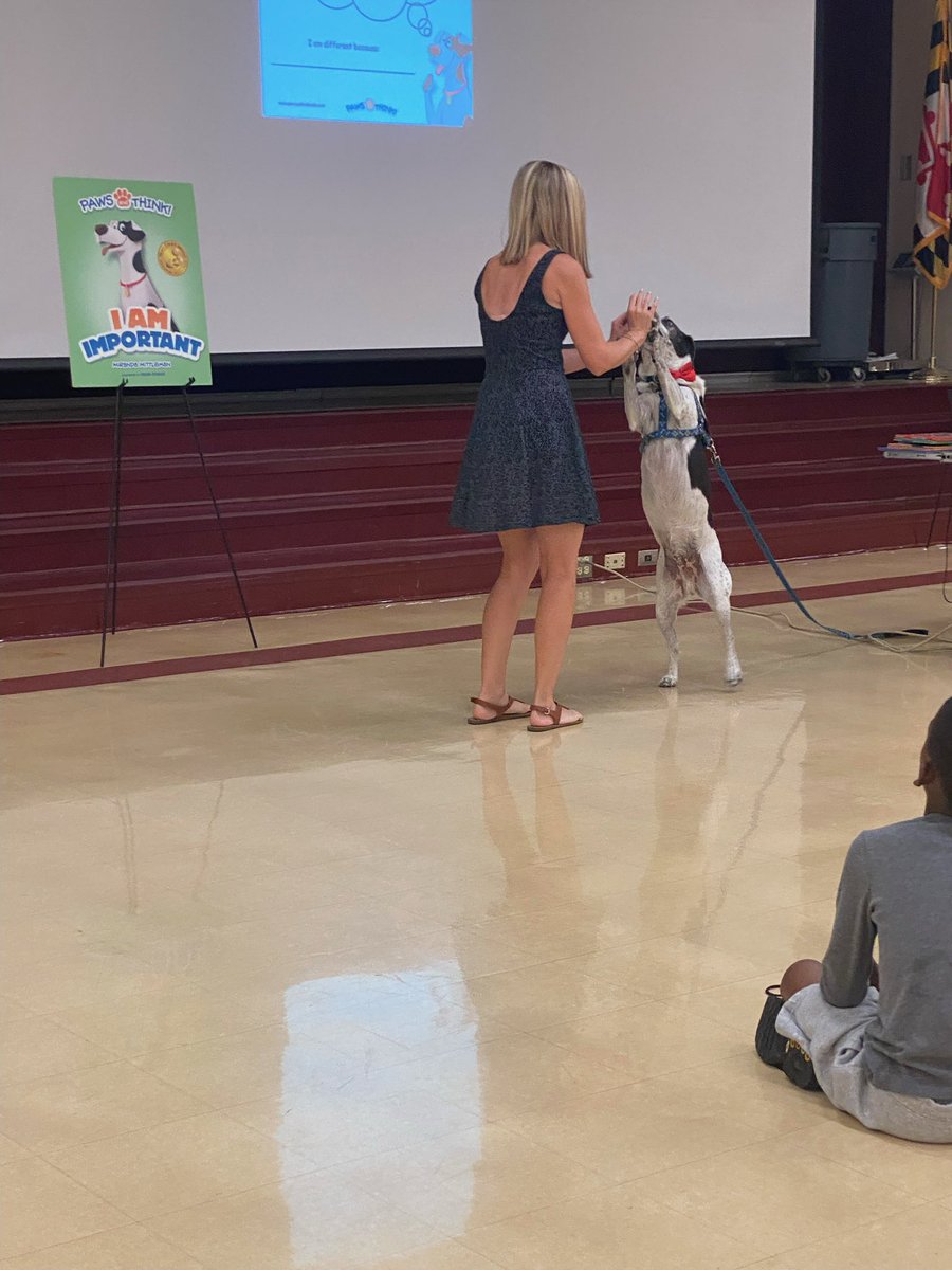MichellePackar1's tweet photo. Author Miranda Mittleman and her dog weaver help teach life lessons to our Elevate students through her book series “Paws and Think”. love bringing literature and inspiration to life @FCPSElevate #FCPSElevate #CESelementary https://t.co/jqooyi420W