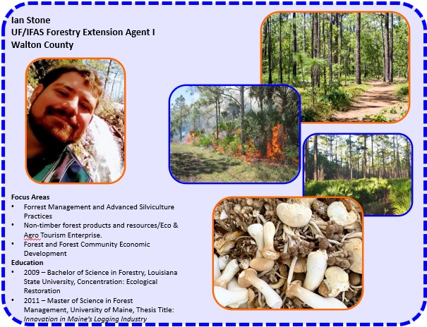 walcoextension's tweet photo. Take a minute and welcome our NEW Forestry Extension Agent!
Ian Stone joined our office on July 1st and we've been keeping him busy since!

#uf #ifas #ufifas #universityofflorida #extension #waltoncountyextension #extension4all #forestry #forestryagent #floridaforesters #forester https://t.co/duyBvW2DmW