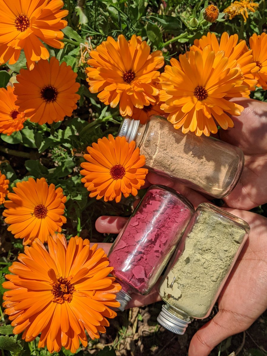 ici_care's tweet photo. Anyone looking to put together a sustainable eco-friendly festive/Christmas gift guide?

Our haircare is the perfect At-home Hair SPA. We are waterless, plastic-free and Personalised. 

#prrequest #journorequest #bloggersrequired https://t.co/JU4kjMOLJc