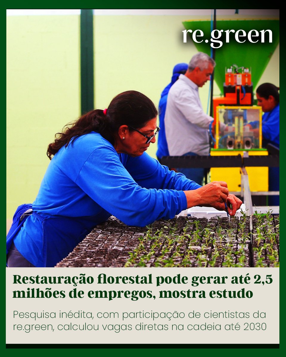 Re Green tweet media