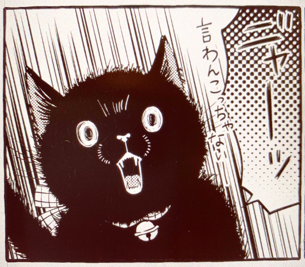 22ページアップ。寝よう…😴
#僕と魔女についての備忘録 