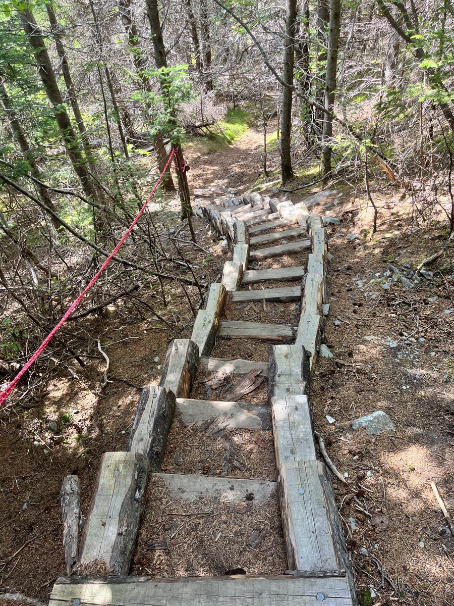 MarianneLynn99's tweet photo. #piratespath #NL #hiking https://t.co/sqnhvNzbPv