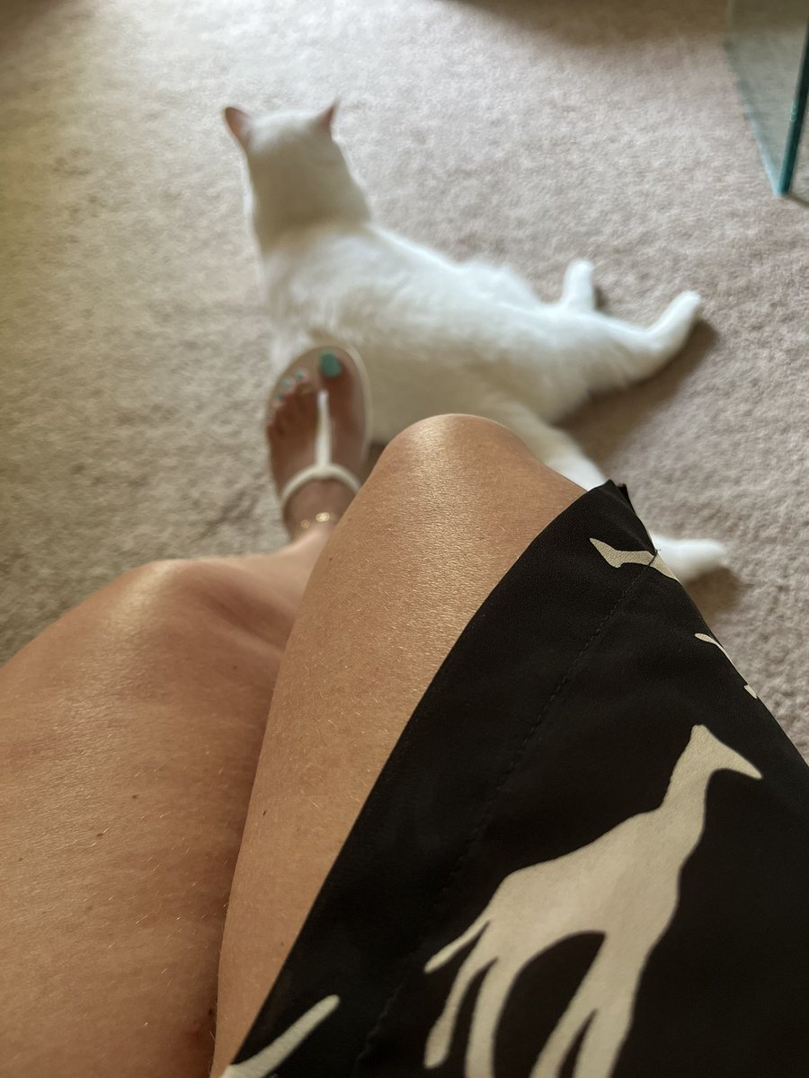 loveher_toes's tweet photo. #lovehertoes #bigtoequeen #itsmedani https://t.co/9NLItzuhCa