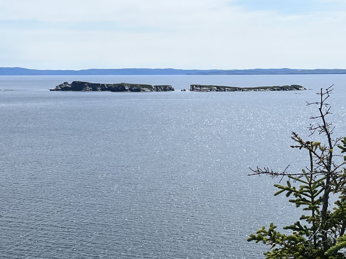 MarianneLynn99's tweet photo. #piratespath #hiking #NL https://t.co/HEr860NLjy