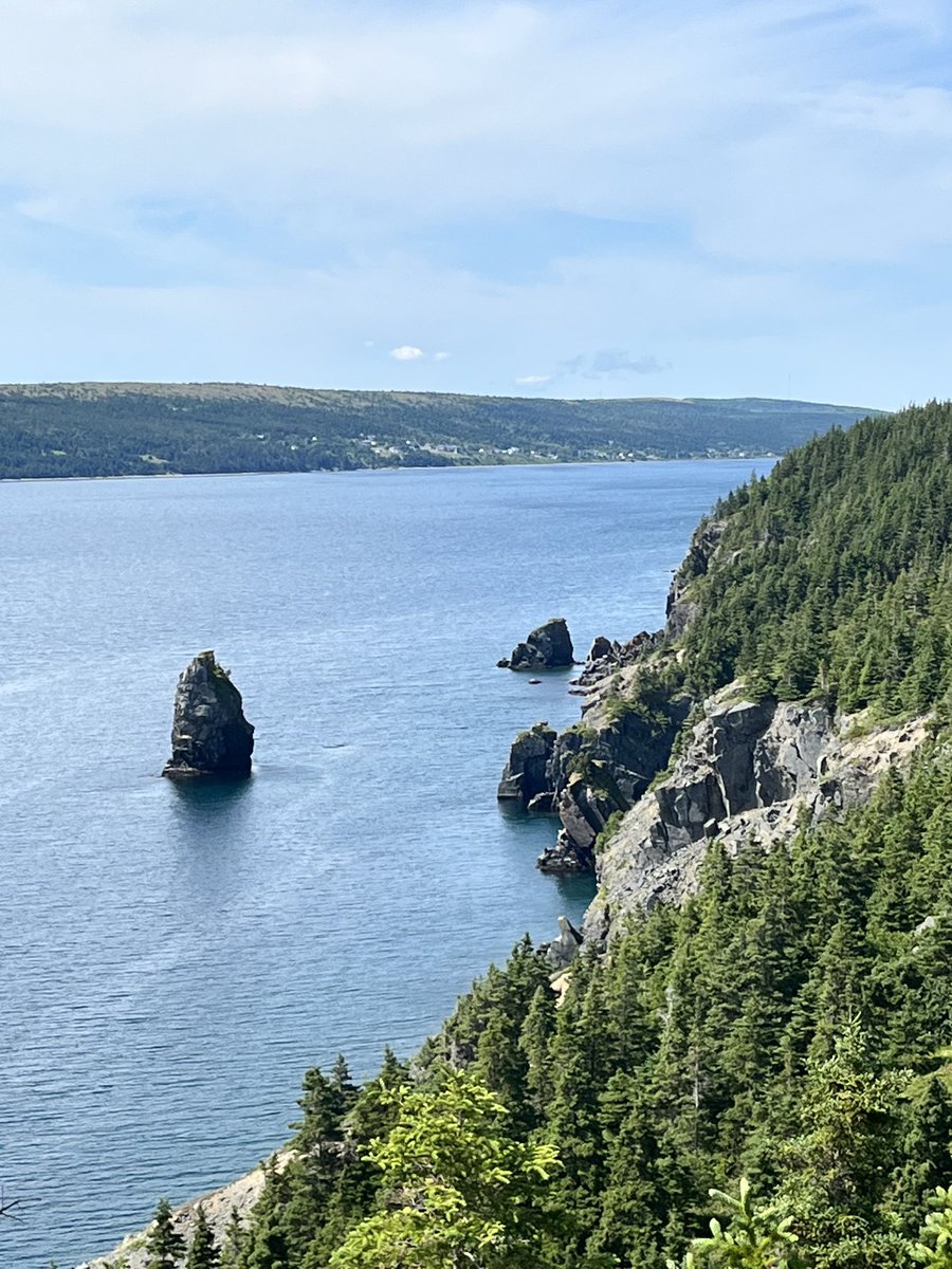 MarianneLynn99's tweet photo. #piratespath #hiking #NL https://t.co/HEr860NLjy