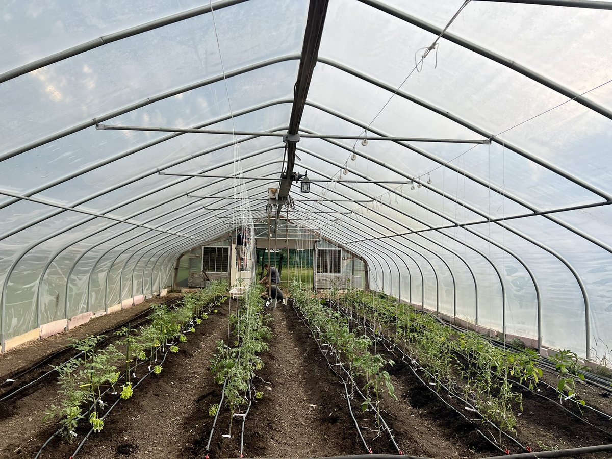 nathania busse tweet media