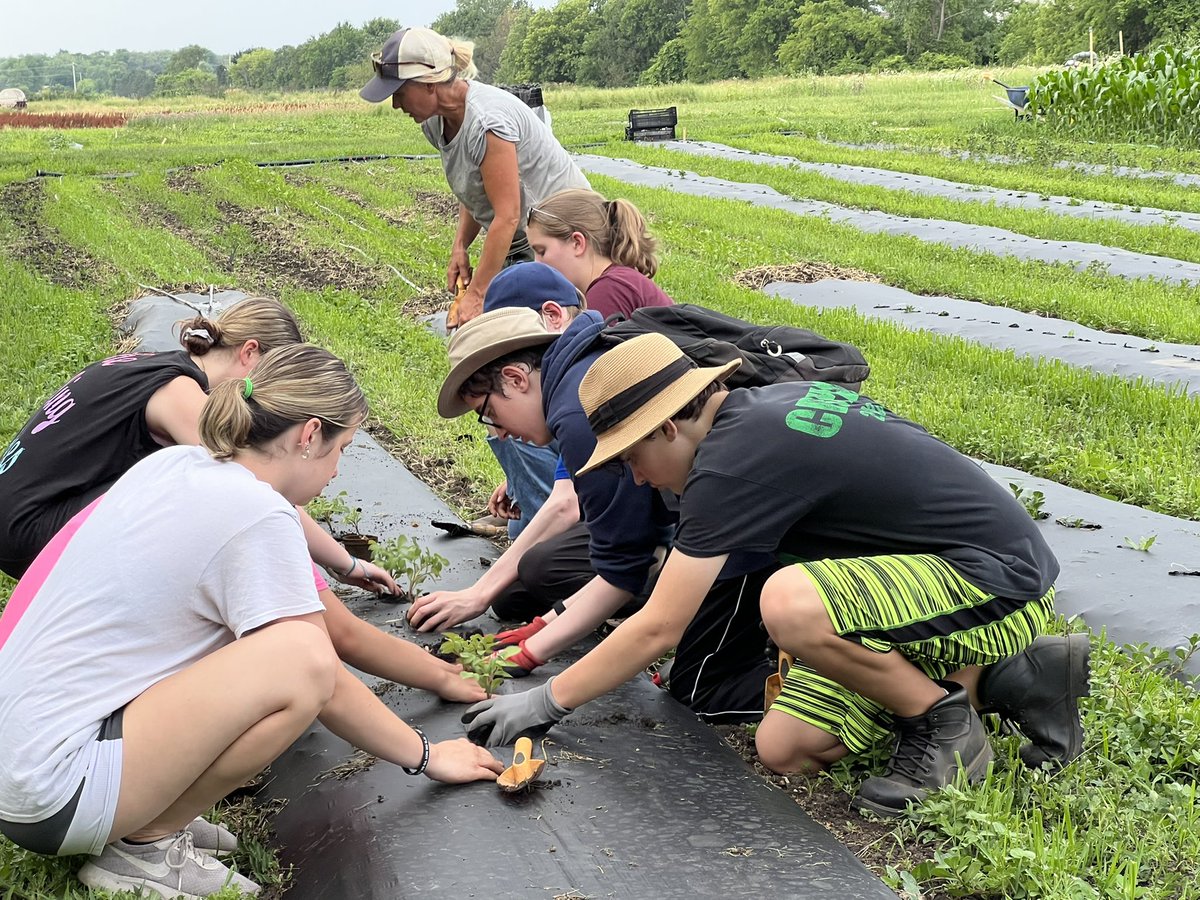 nathania busse tweet media