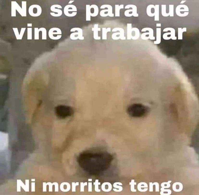 Guarromantico_'s tweet photo. https://t.co/PunNSzXBt7
