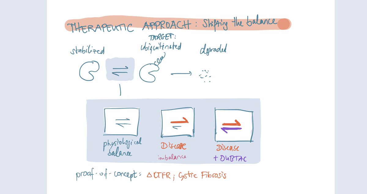 SciCommAtelier's tweet photo. Here is my take on explaining what DUBTAC is and how protein stabilisation can be an interesting therapeutic approach. 
To let you take part in the process I also share some of my drafts, I doodle and scribble a lot before creating the final illustration 😄 https://t.co/sLImBUvFxr