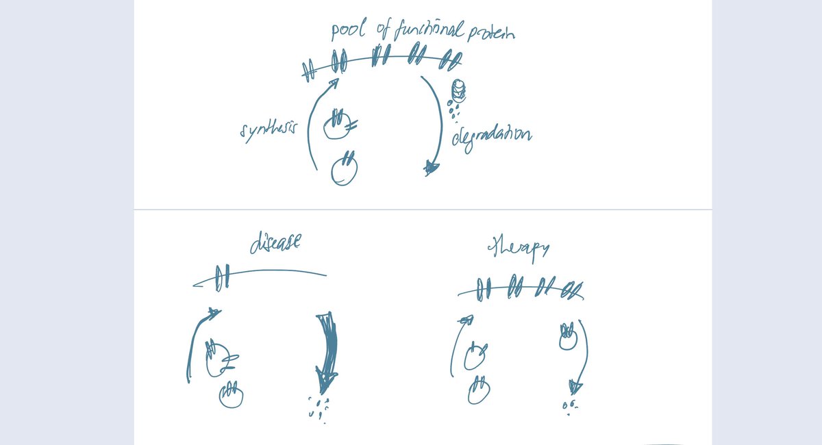 SciCommAtelier's tweet photo. Here is my take on explaining what DUBTAC is and how protein stabilisation can be an interesting therapeutic approach. 
To let you take part in the process I also share some of my drafts, I doodle and scribble a lot before creating the final illustration 😄 https://t.co/sLImBUvFxr