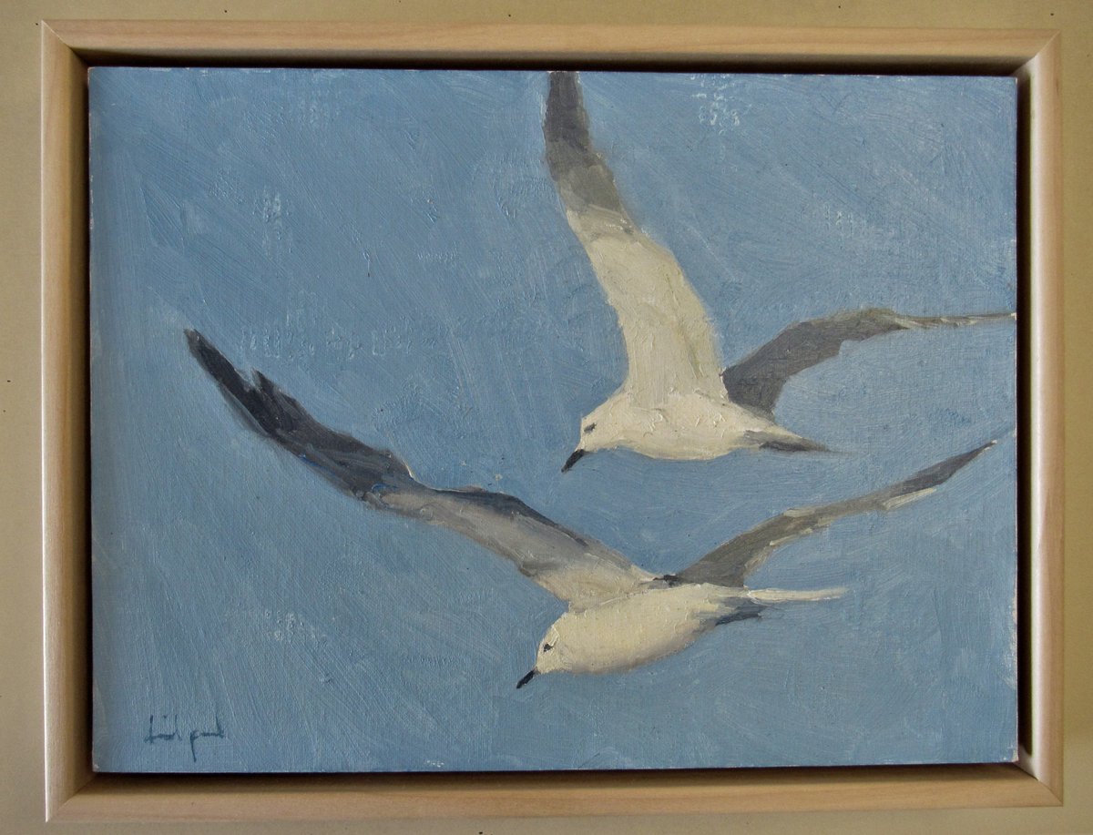 Seagulls  oil painting 9 x 12 in. <a href="/PaulElsea/">David Elsea</a>  davidpaulelsea.com   #ornithology #TwitterNatureCommunity #Sarasota #ocean #seabirds #nature #Florida #Ecologist #conservation #sailing