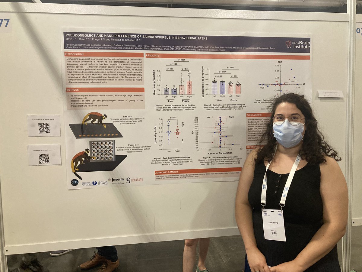 JulieRoyo's tweet photo. I had the chance to present some results of my work at the @FENSorg congress. Thank you to the people who came to chat with me about Pseudoneglect and manual préférence of squirrel monkeys in behavioural tasks. https://t.co/4PyeYZLSty