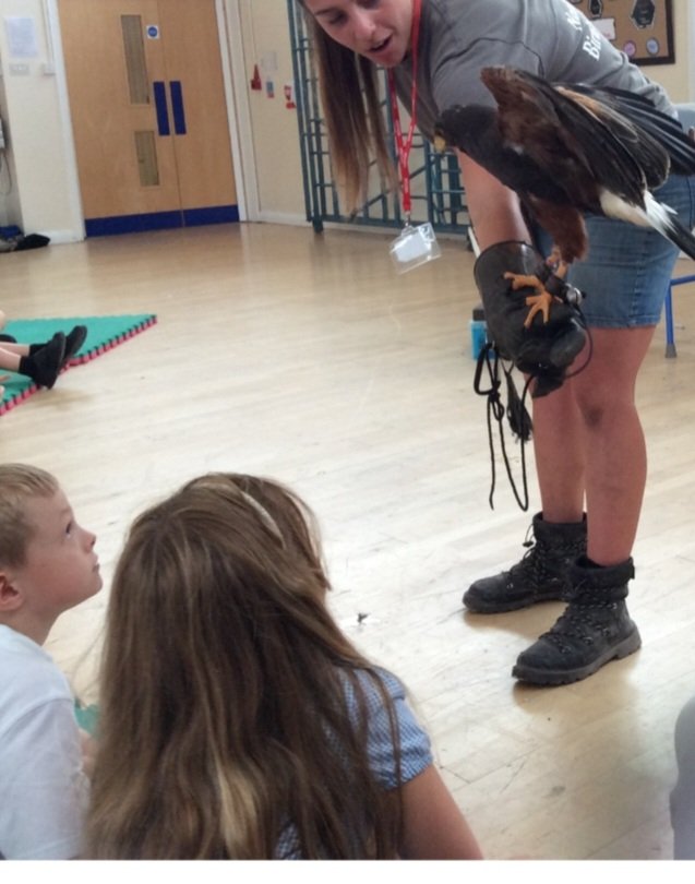 Anna_Abbs's tweet photo. Another fantastic opportunity for @Stoke_Lodge @olympustrust pupils! #staycurious #teamslp #curriouscurriculum https://t.co/41KnYV4egJ